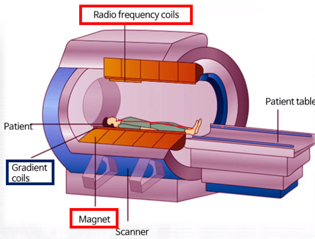 2020-10-22-medical-image-acquisition-17-MRI-mechanism